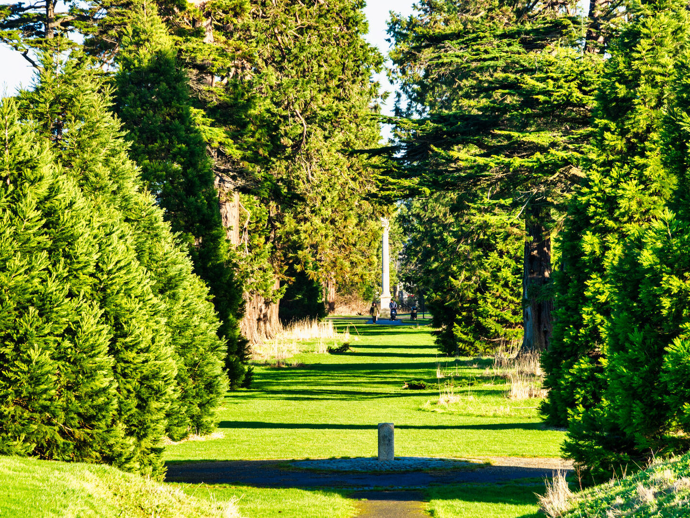 SANTRY DEMESNE PUBLIC PARK [THE PHOENIX FOLLY AND THE VIEWING AREA]-246943-1