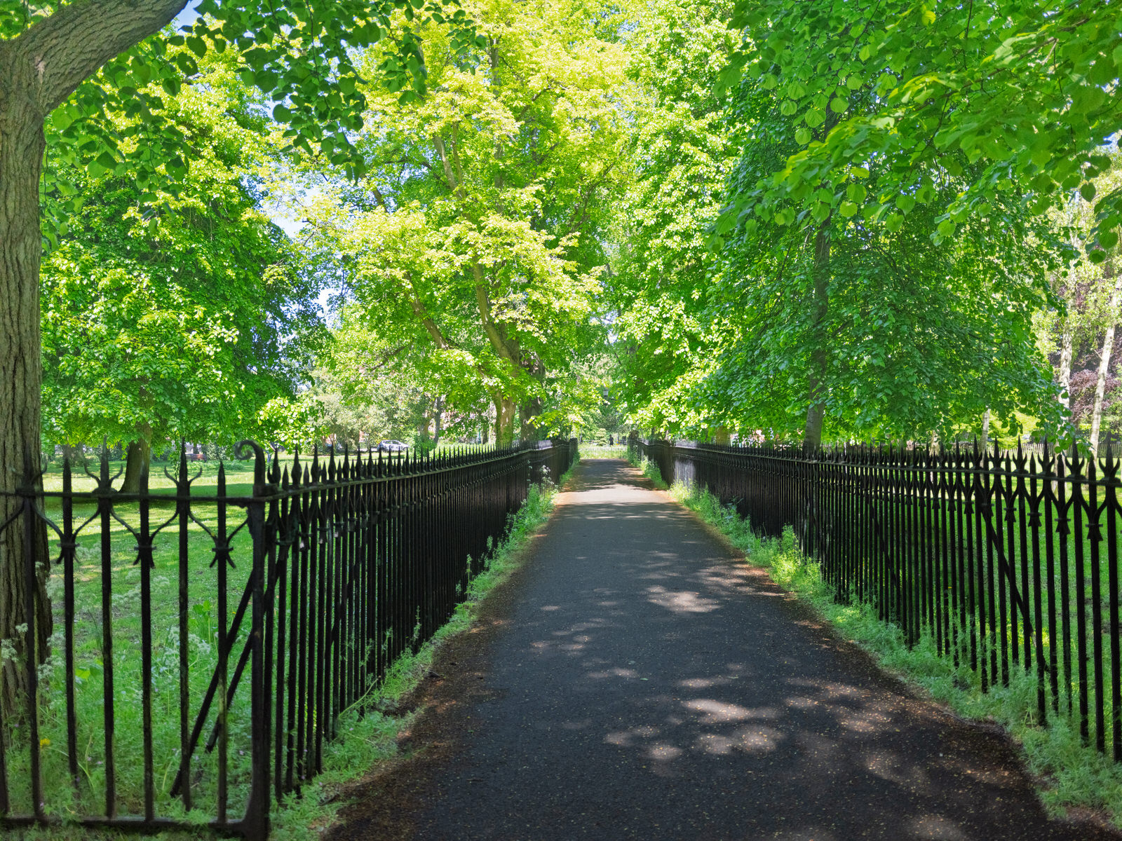 PALMERSTON PUBLIC PARK [IN THE DUBLIN SUBURB OF DARTRY]-251121-1