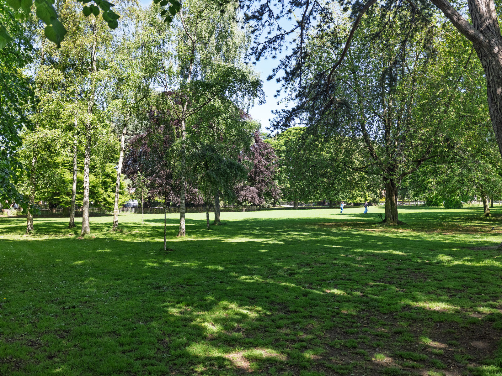 PALMERSTON PUBLIC PARK [IN THE DUBLIN SUBURB OF DARTRY]-251122-1