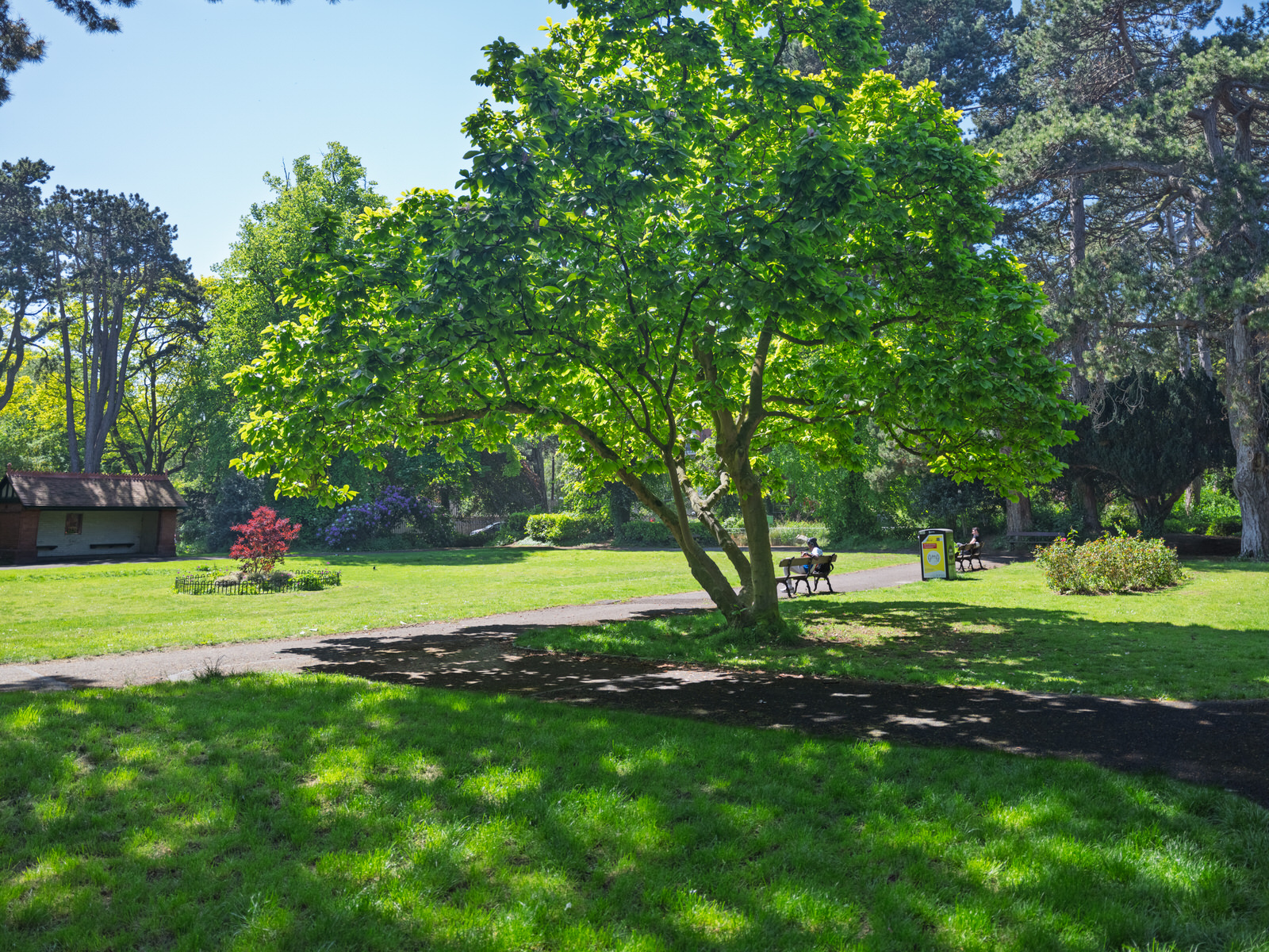 PALMERSTON PUBLIC PARK [IN THE DUBLIN SUBURB OF DARTRY]-251131-1