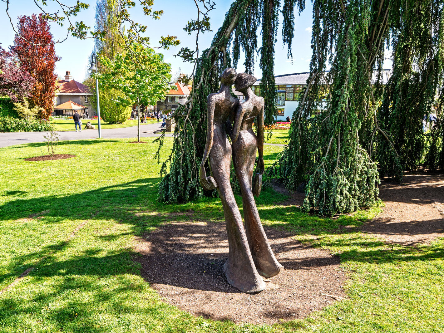 THE BEST NIGHT EVER BY BOB QUINN [BOTANIC GARDENS 3 MAY 2025]-250307-1
