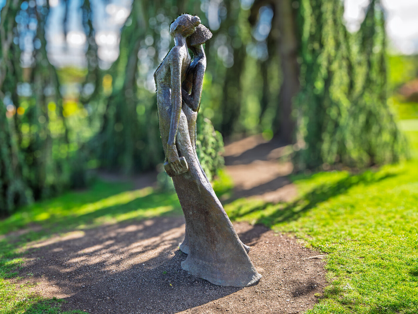 THE BEST NIGHT EVER BY BOB QUINN [BOTANIC GARDENS 3 MAY 2025]-250308-1