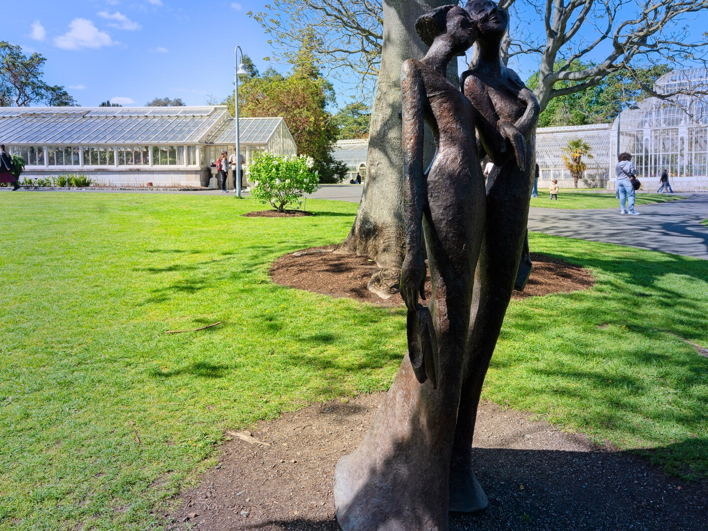 THE BEST NIGHT EVER BY BOB QUINN [BOTANIC GARDENS 3 MAY 2025]-250309-1