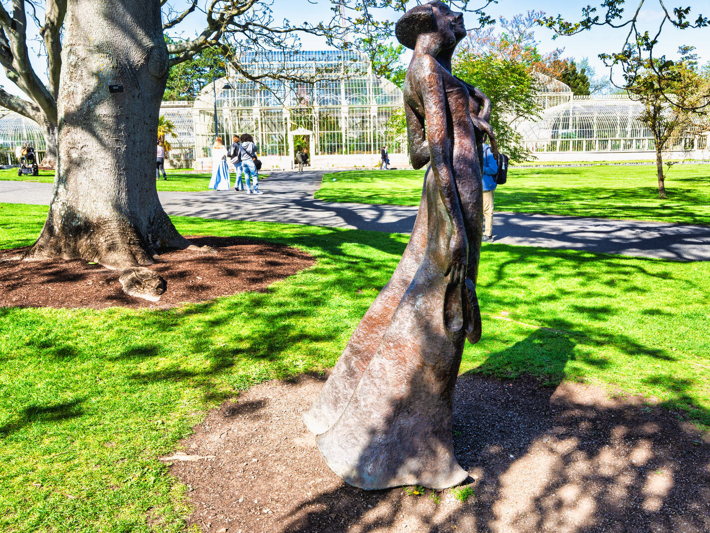 THE BEST NIGHT EVER BY BOB QUINN [BOTANIC GARDENS 3 MAY 2025]-250307-1