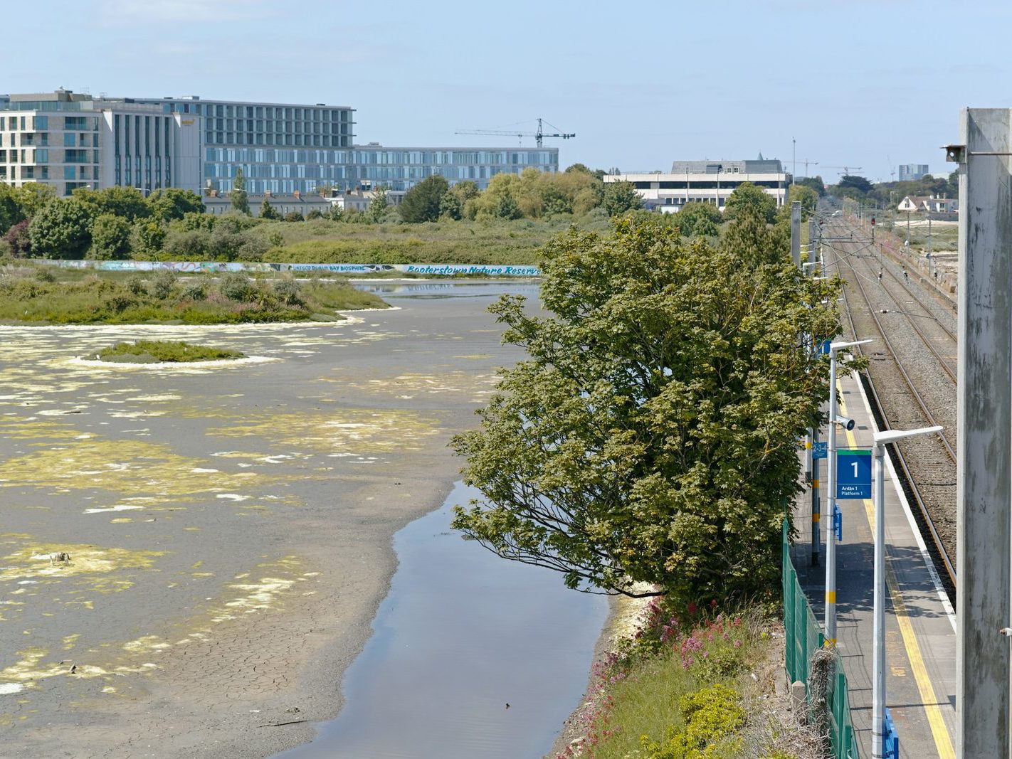 BOOTERSTOWN MARSH AND TRAIN STATION [I USED A SIGMA DP3 QUATTRO] 014