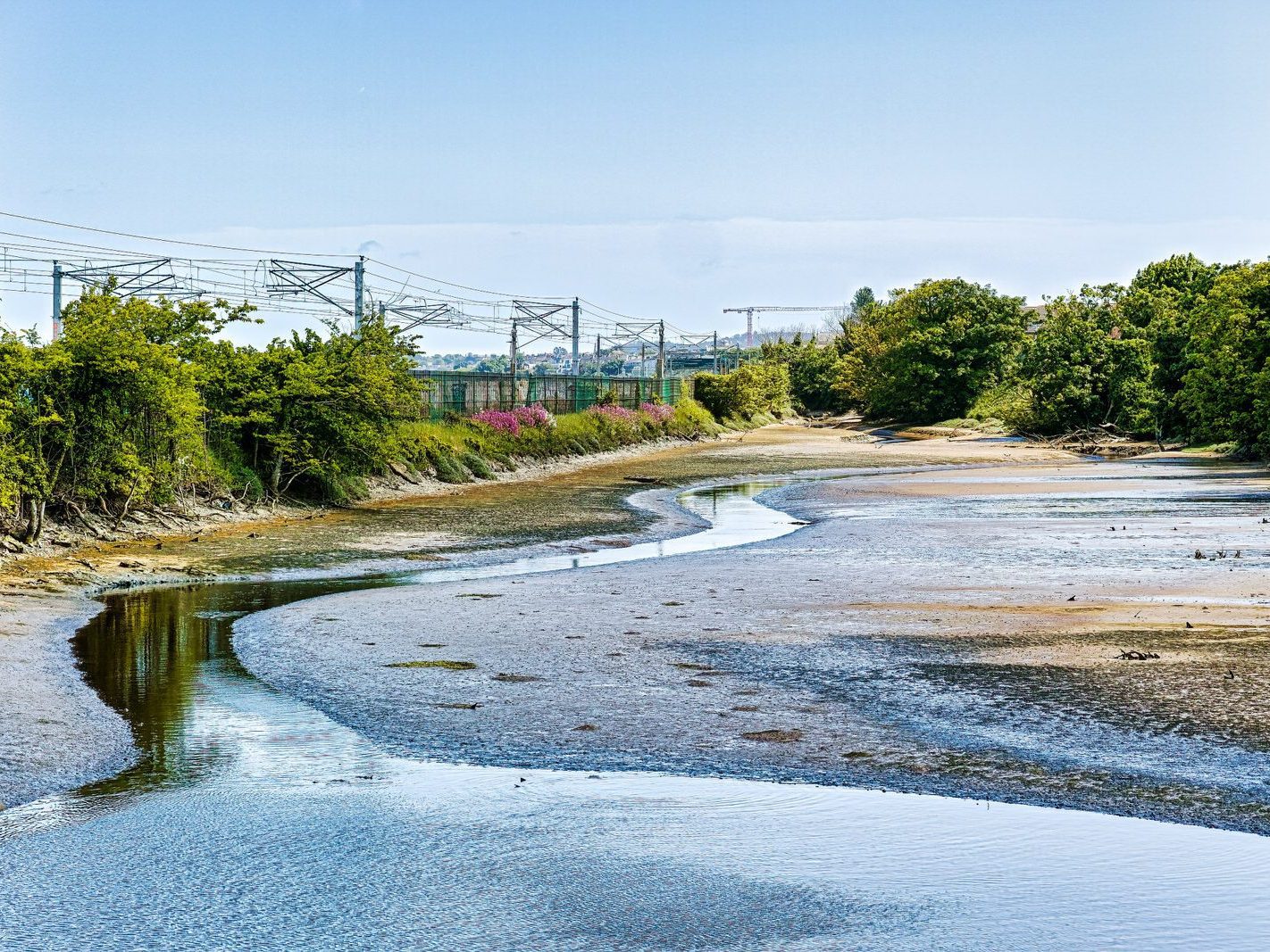BOOTERSTOWN MARSH AND TRAIN STATION [I USED A SIGMA DP3 QUATTRO] 001