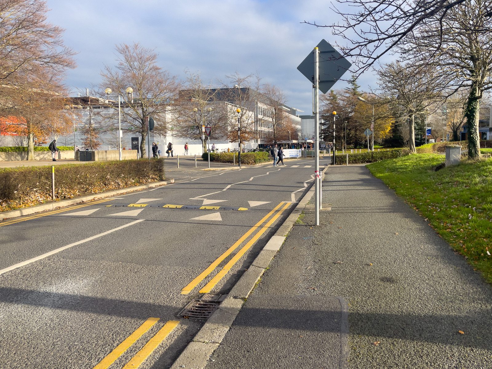 MY FIRST DAY WITHOUT THE 17 BUS SERVICE [WALK FROM S4 BUS STOP IN UCD TO ROEBUCK ROAD]-225569-1
