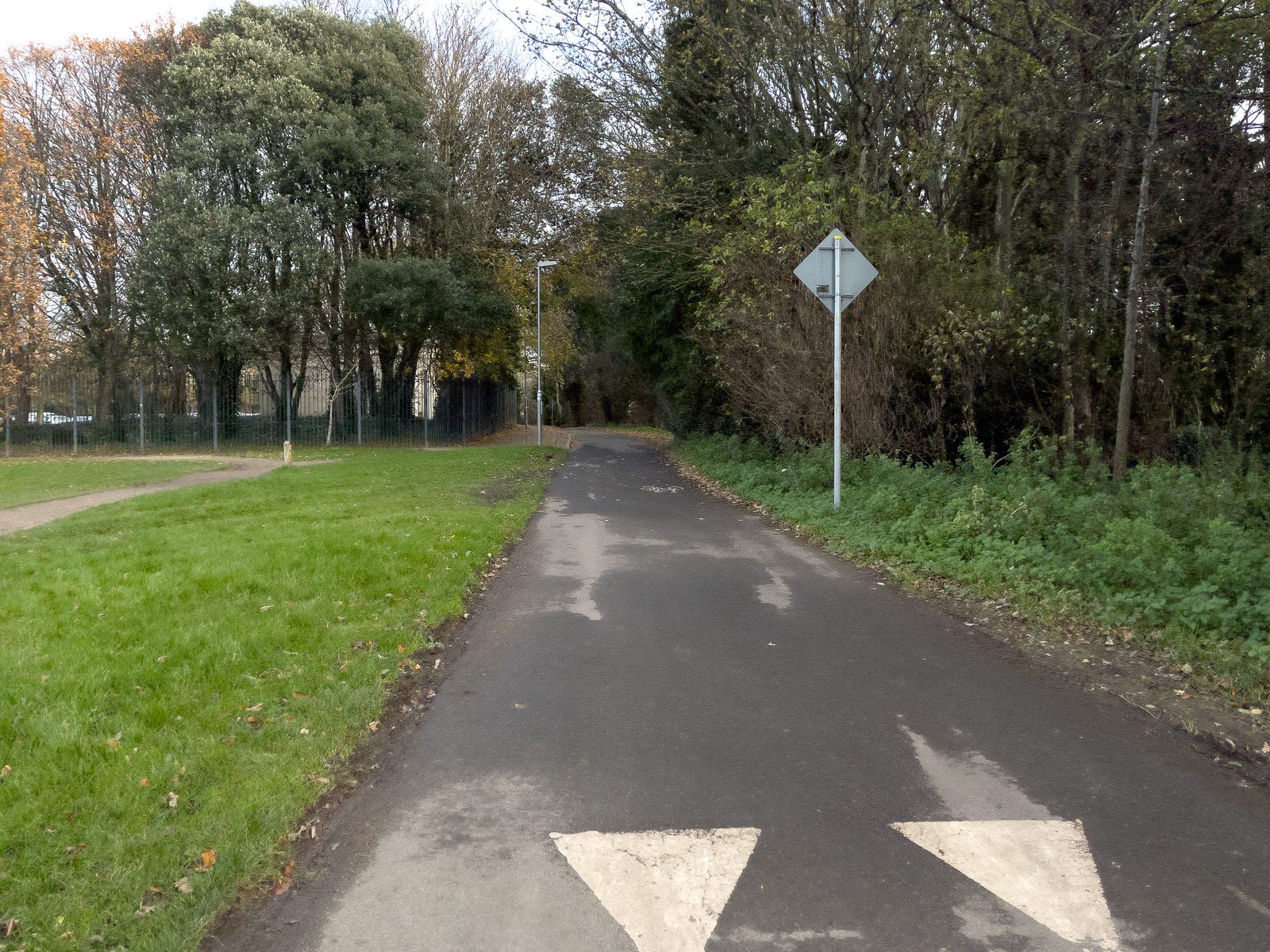 MY FIRST DAY WITHOUT THE 17 BUS SERVICE [WALK FROM S4 BUS STOP IN UCD TO ROEBUCK ROAD]-225581-1