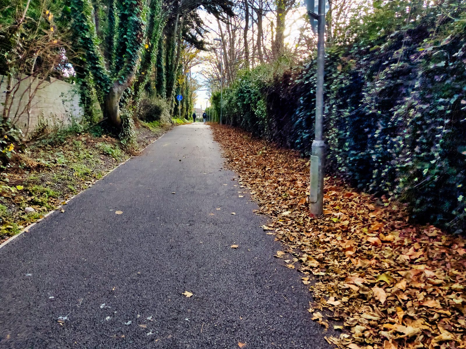MY FIRST DAY WITHOUT THE 17 BUS SERVICE [WALK FROM S4 BUS STOP IN UCD TO ROEBUCK ROAD]-225586-1