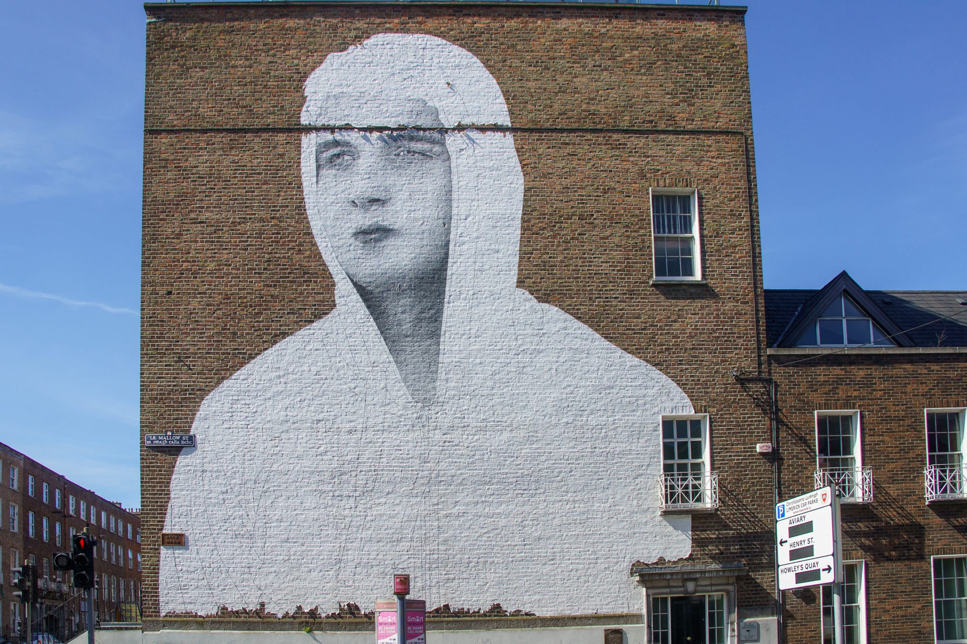 Joe Caslin is an Irish street artist, art teacher and activist.