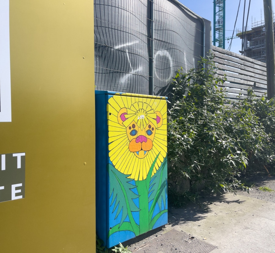 DANDELION IS AN EXAMPLE OF PAINT-A-BOX STREET ART AND IT IS BY LORCAN CASSIDY 001