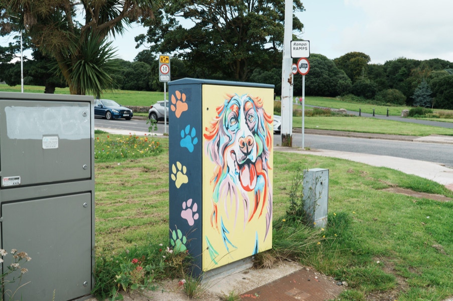 STAY PAW-SITIVE BY REBECCA LOW [PAINT-A-BOX STREET ART NEAR ST ANNE'S PARK]  001