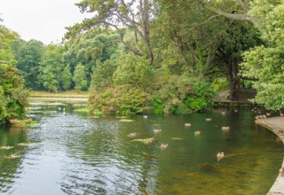THE POND IN ST ANNE'S PARK 001