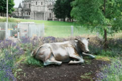 THE COW AT WOOD QUAY 006
