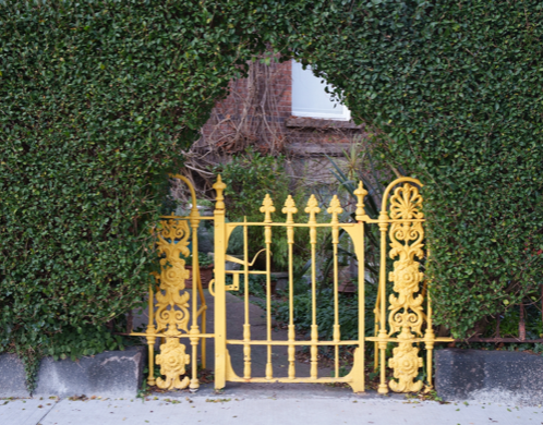 I LIKE THIS YELLOW GATE [BESIDE THE HOLY TRINITY CHURCH OF IRELAND IN RATHMINES]  001