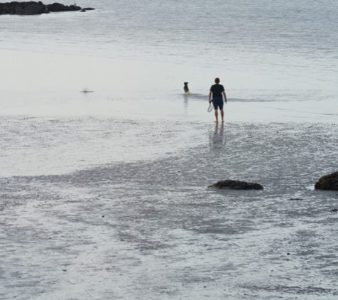 MAN EXPLORING BEACH TOGETHER WITH HIS SON AND THEIR DOG [SEAPOINT - SALTHILL - MONKSTOWN]  001