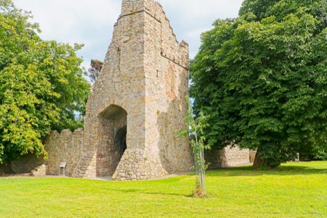 MONKSTOWN CASTLE OR WHAT REMAINS [MY FIRST TIME TO PHOTOGRAPH IT] 001