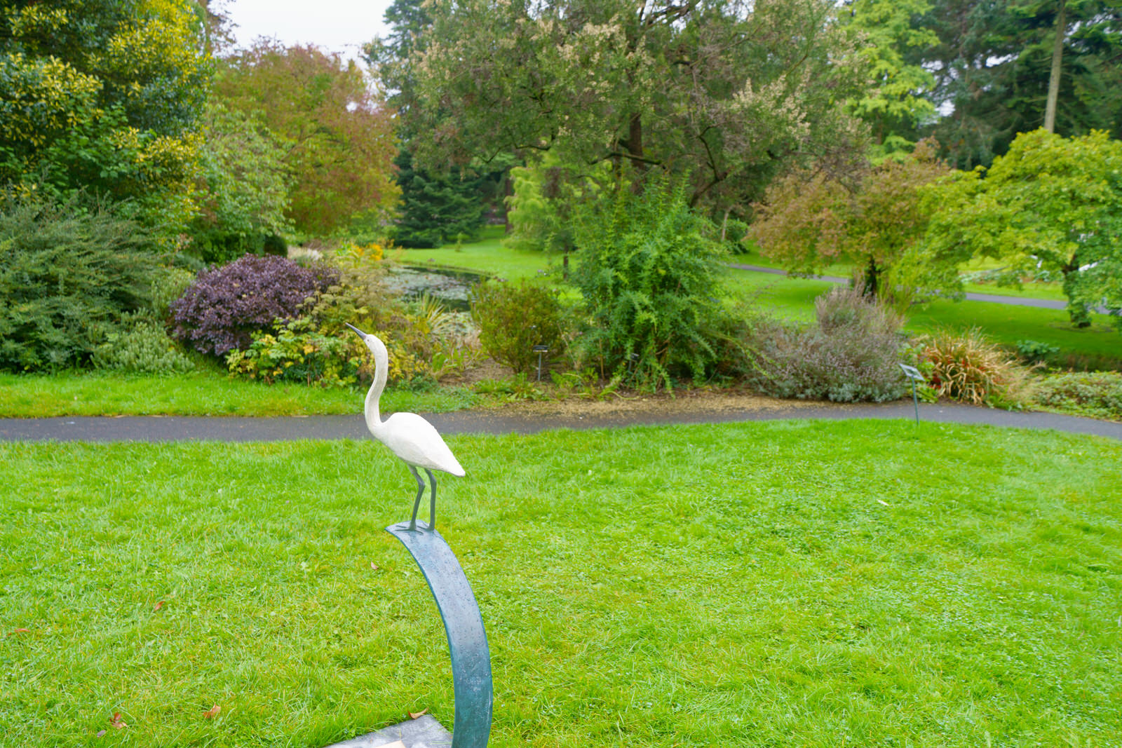 A WHITE HERON BY FIONA SMITH