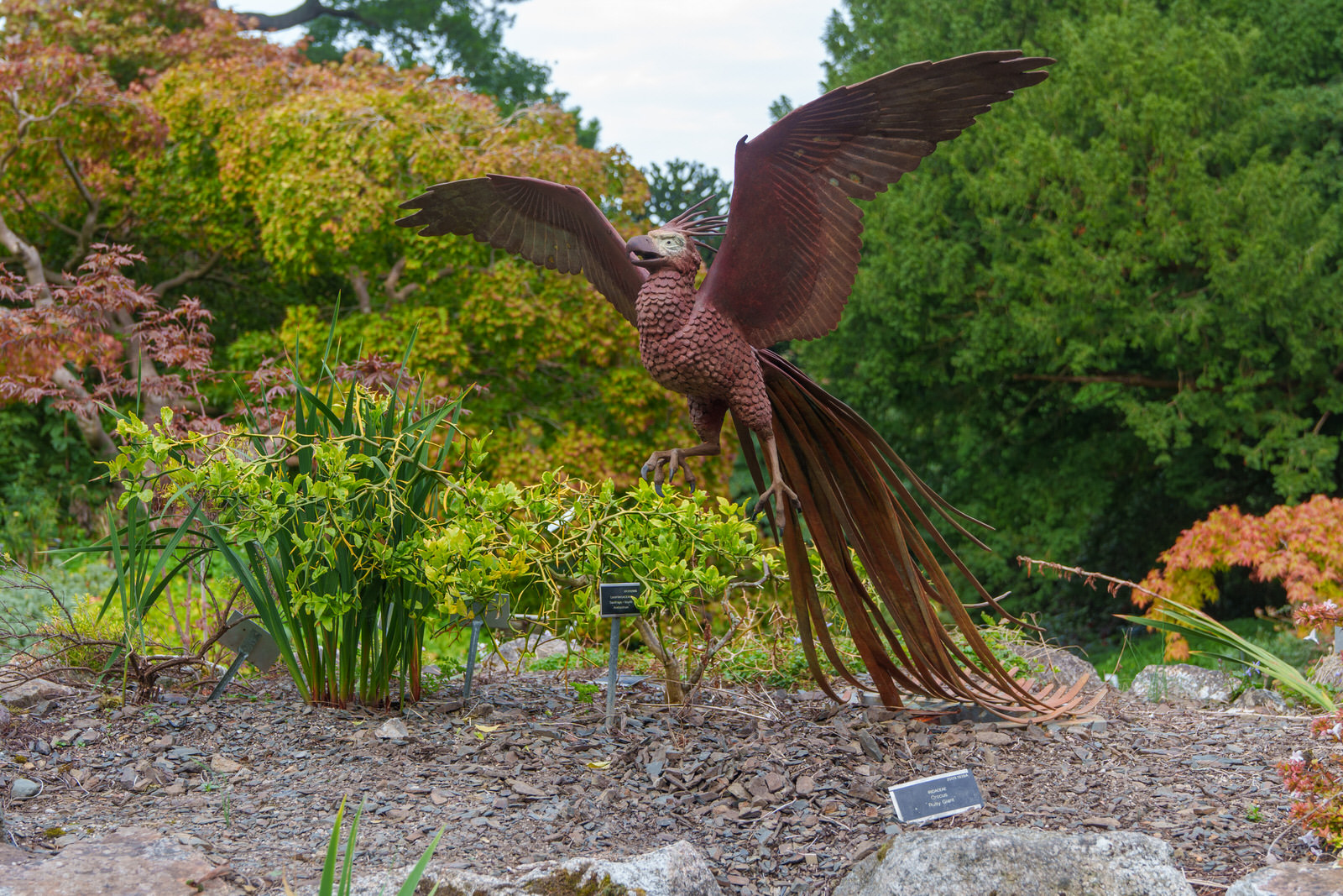 PHOENIX RISING BY MICHAEL CHARLES KEANE