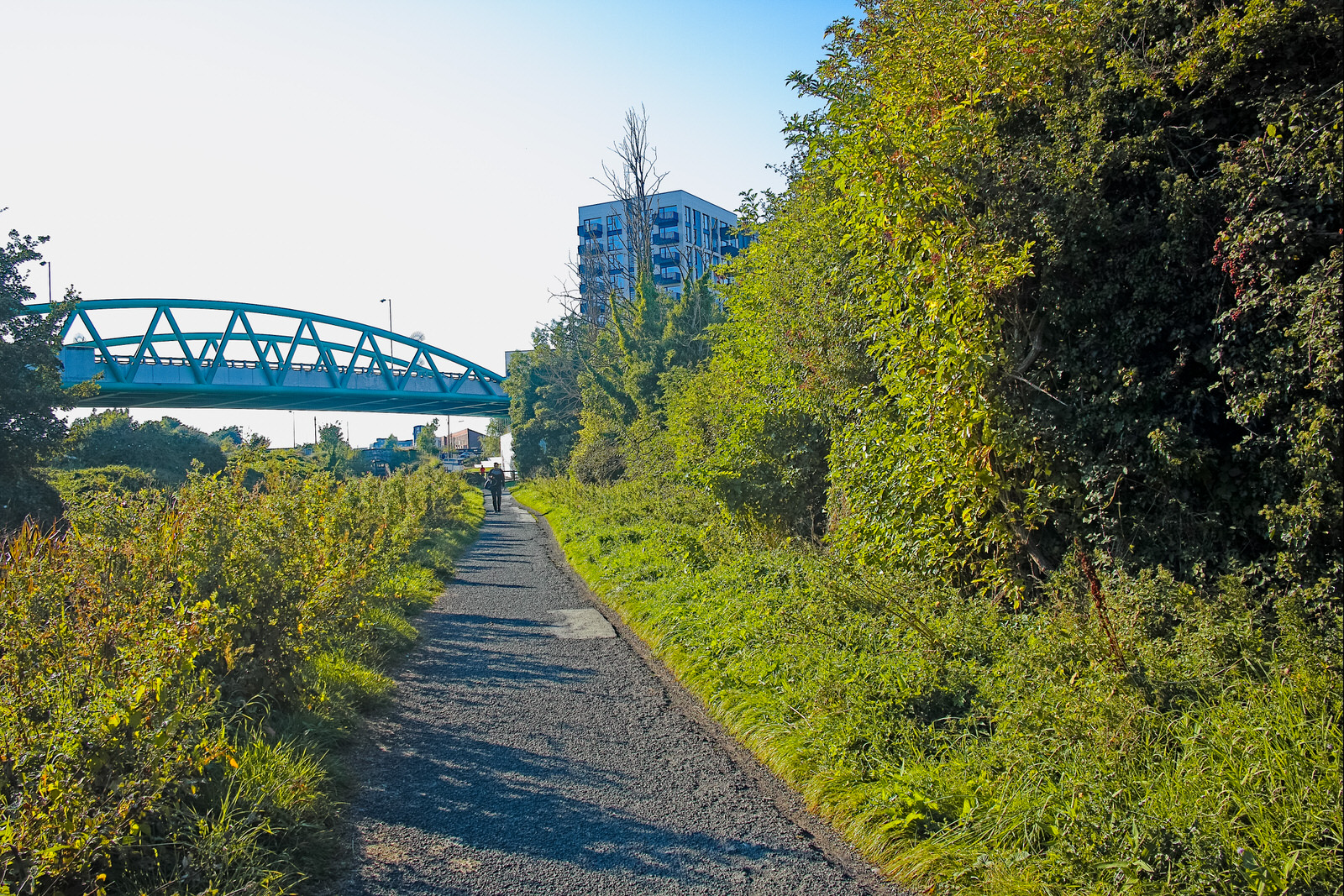  THE 8TH LOCK ON THE ROYAL CANAL [AND NEARBY] 010 