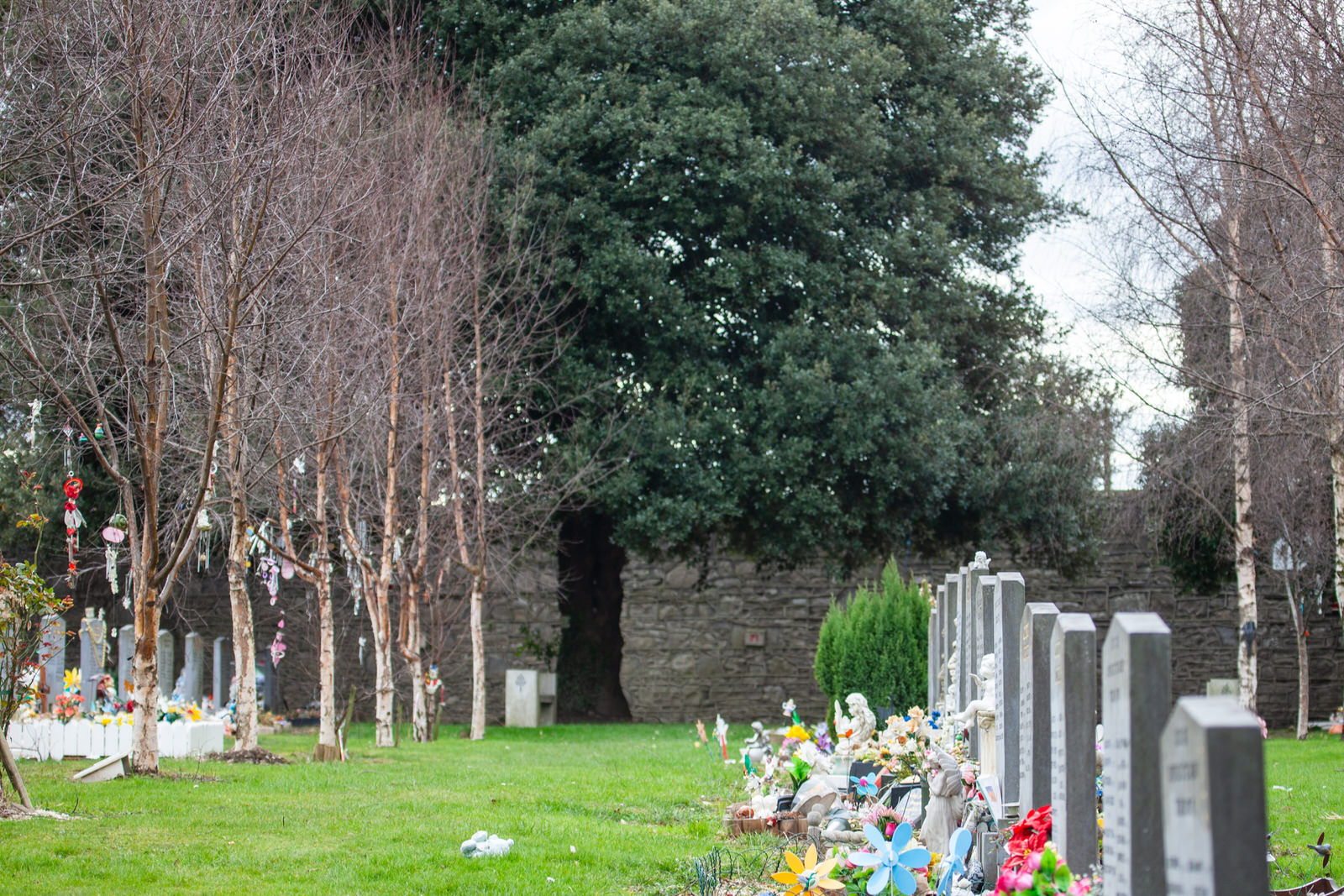 GLASNEVIN CEMETERY 2008