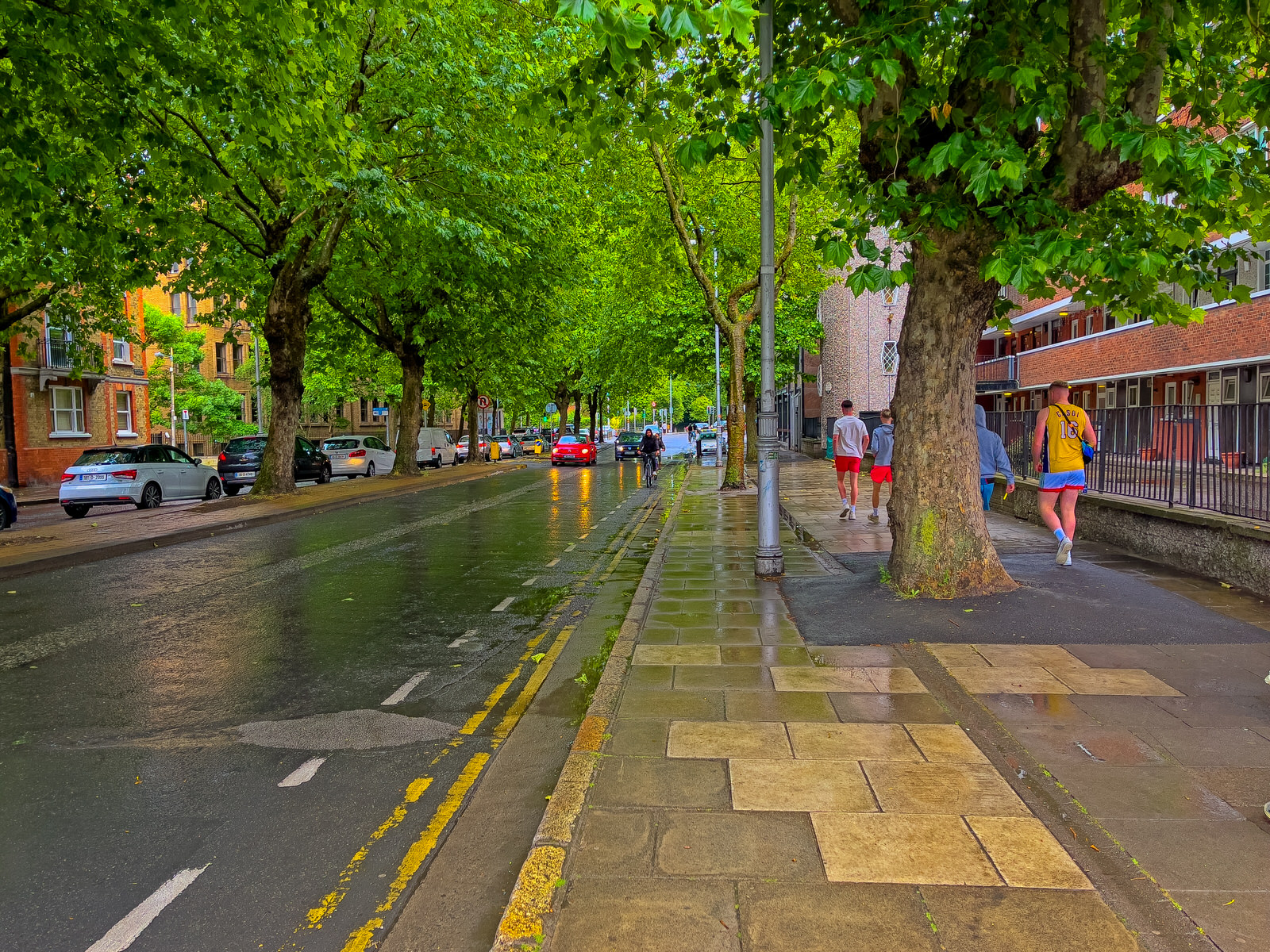 CUFFE STREET [ON A REALLY WET DAY]-243998-1