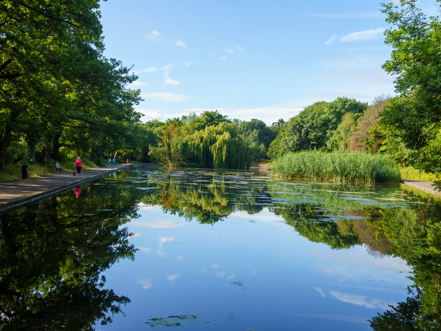 EXPLORING THE WATER FEATURES IN BUSHY PARK [DUCK POND PLUS A LAKE AND BRIDGES]-243833-1