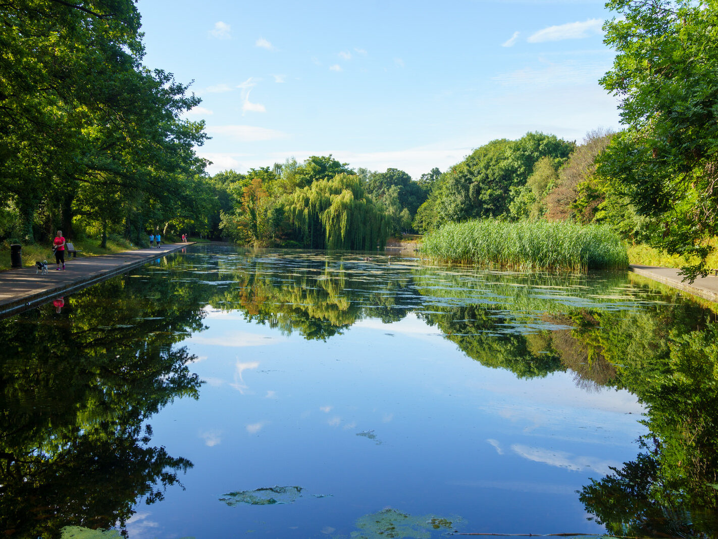 EXPLORING THE WATER FEATURES IN BUSHY PARK [DUCK POND PLUS A LAKE AND BRIDGES]-243835-1