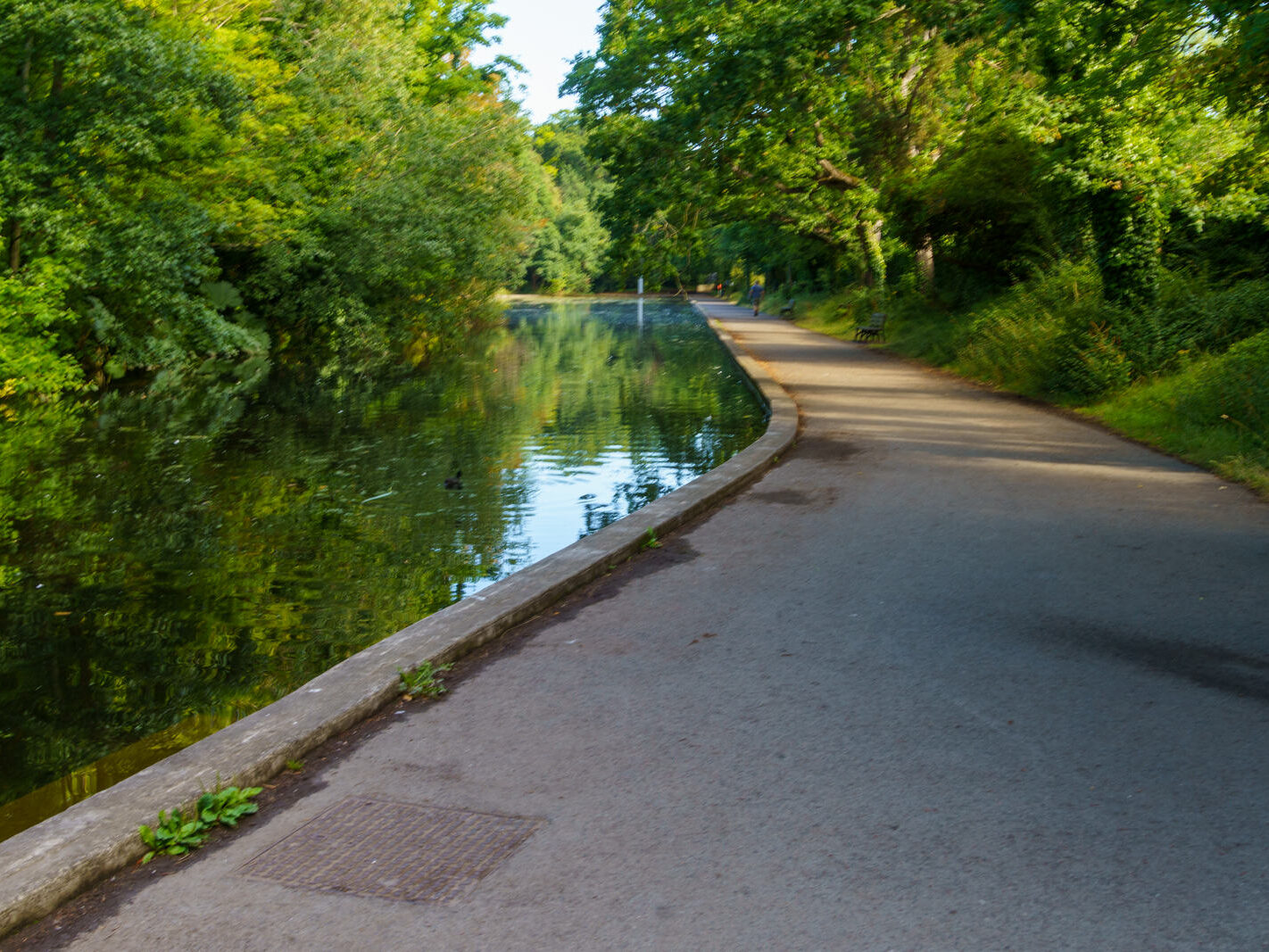 EXPLORING THE WATER FEATURES IN BUSHY PARK [DUCK POND PLUS A LAKE AND BRIDGES]-243837-1