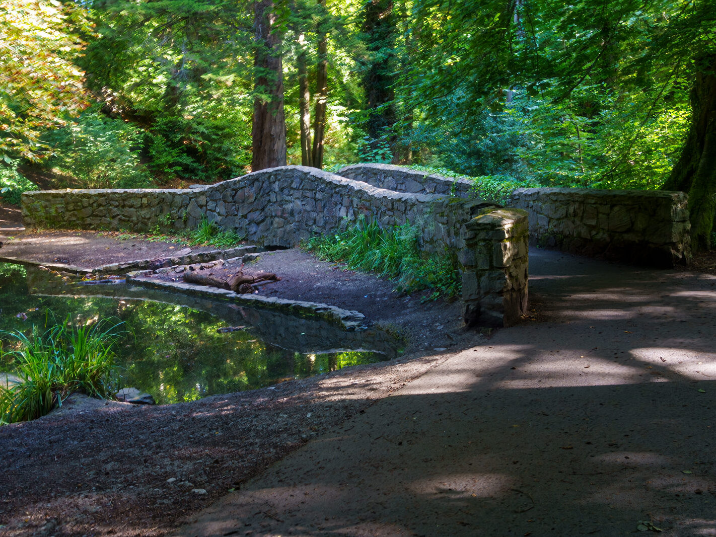 EXPLORING THE WATER FEATURES IN BUSHY PARK [DUCK POND PLUS A LAKE AND BRIDGES]-243855-1