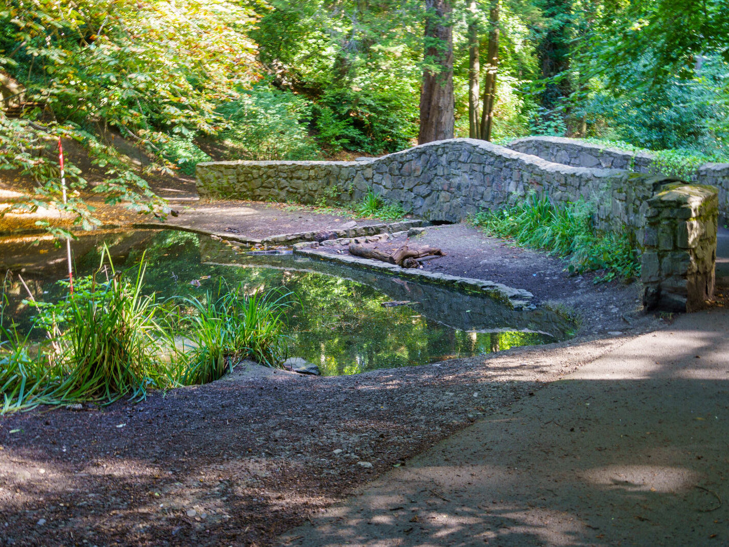 EXPLORING THE WATER FEATURES IN BUSHY PARK [DUCK POND PLUS A LAKE AND BRIDGES]-243856-1