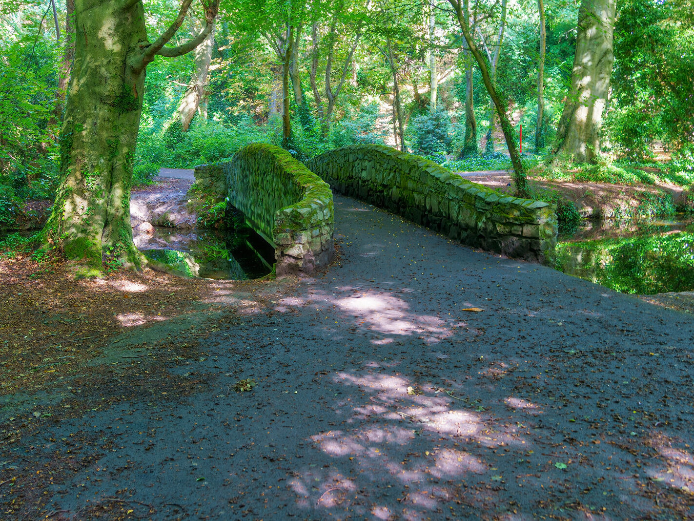 EXPLORING THE WATER FEATURES IN BUSHY PARK [DUCK POND PLUS A LAKE AND BRIDGES]-243858-1