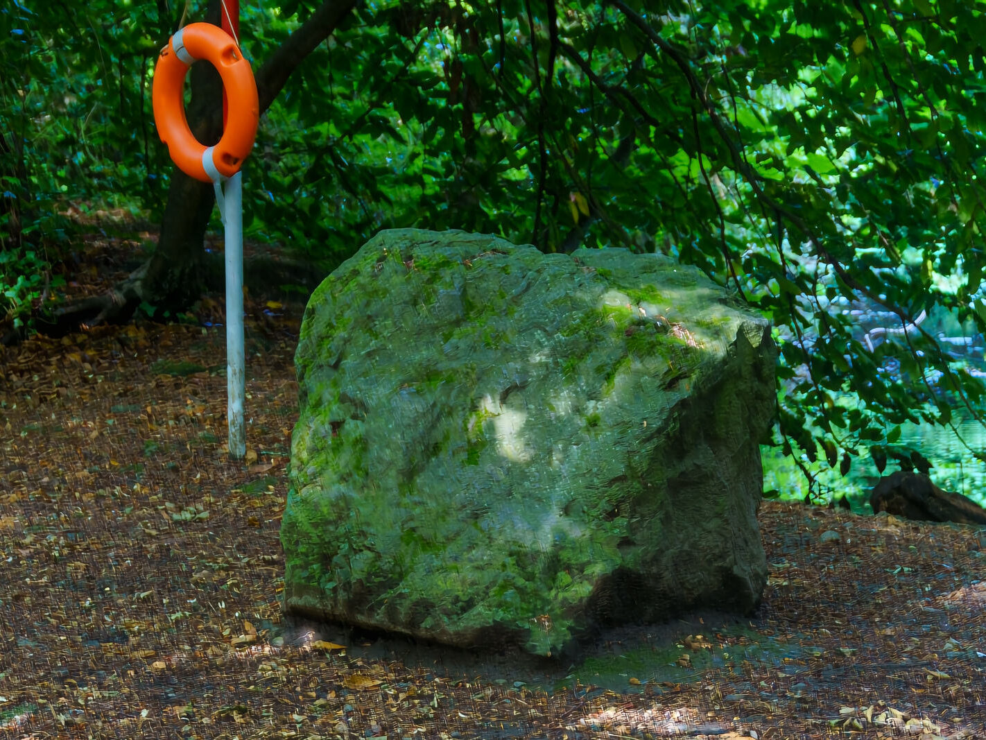 EXPLORING THE WATER FEATURES IN BUSHY PARK [DUCK POND PLUS A LAKE AND BRIDGES]-243859-1