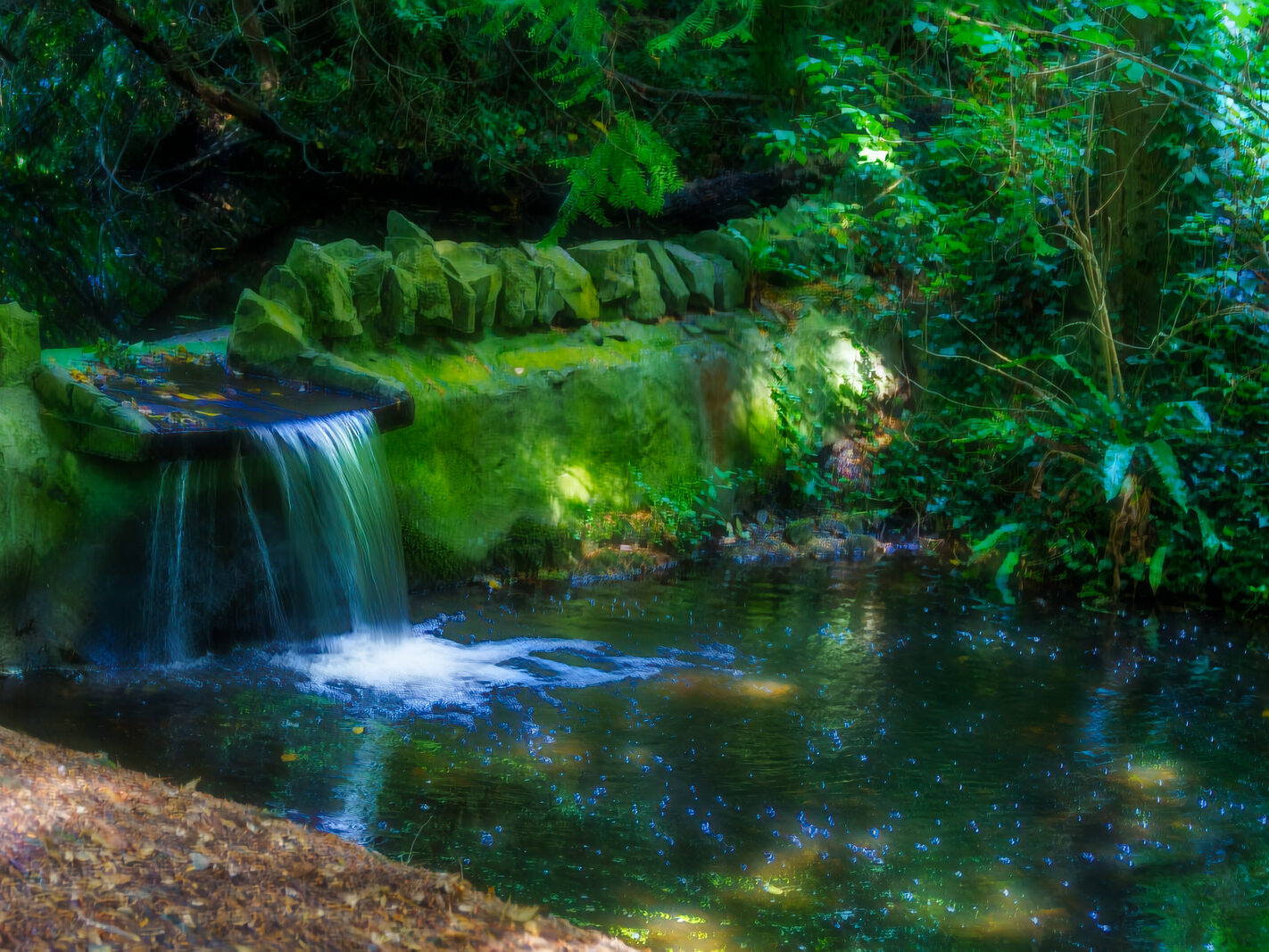 EXPLORING THE WATER FEATURES IN BUSHY PARK [DUCK POND PLUS A LAKE AND BRIDGES]-243860-1