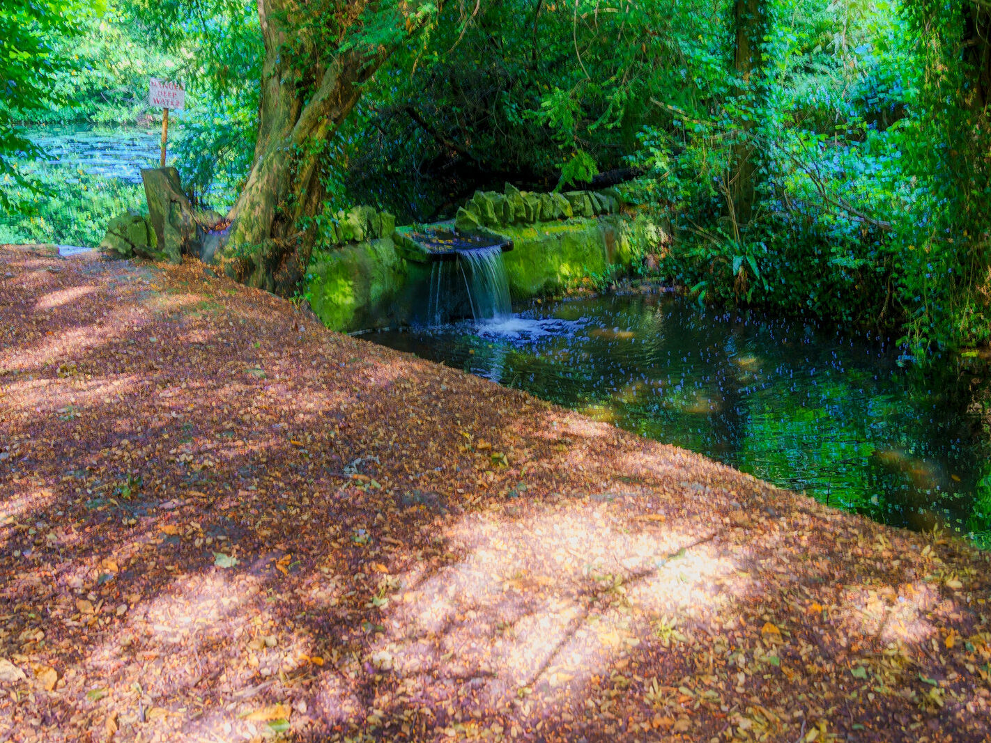 EXPLORING THE WATER FEATURES IN BUSHY PARK [DUCK POND PLUS A LAKE AND BRIDGES]-243861-1