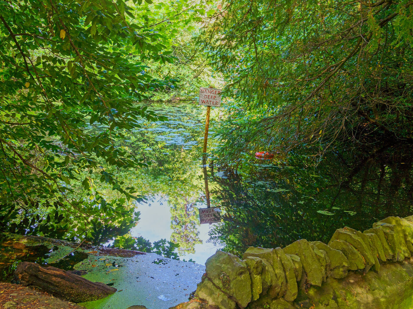 EXPLORING THE WATER FEATURES IN BUSHY PARK [DUCK POND PLUS A LAKE AND BRIDGES]-243863-1