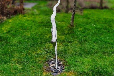 HARE 2020 BY ANI MOLLEREAU [BUTLER GALLERY FEBRUARY 2026]-265663.jpg