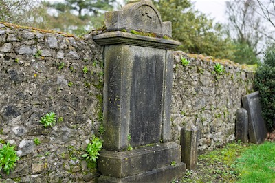ST CANICE'S CATHEDRAL AND ROUND TOWER PLUS GRAVEYARD [PHOTOGRAPHED FEBRUARY 2026]-265352.jpg