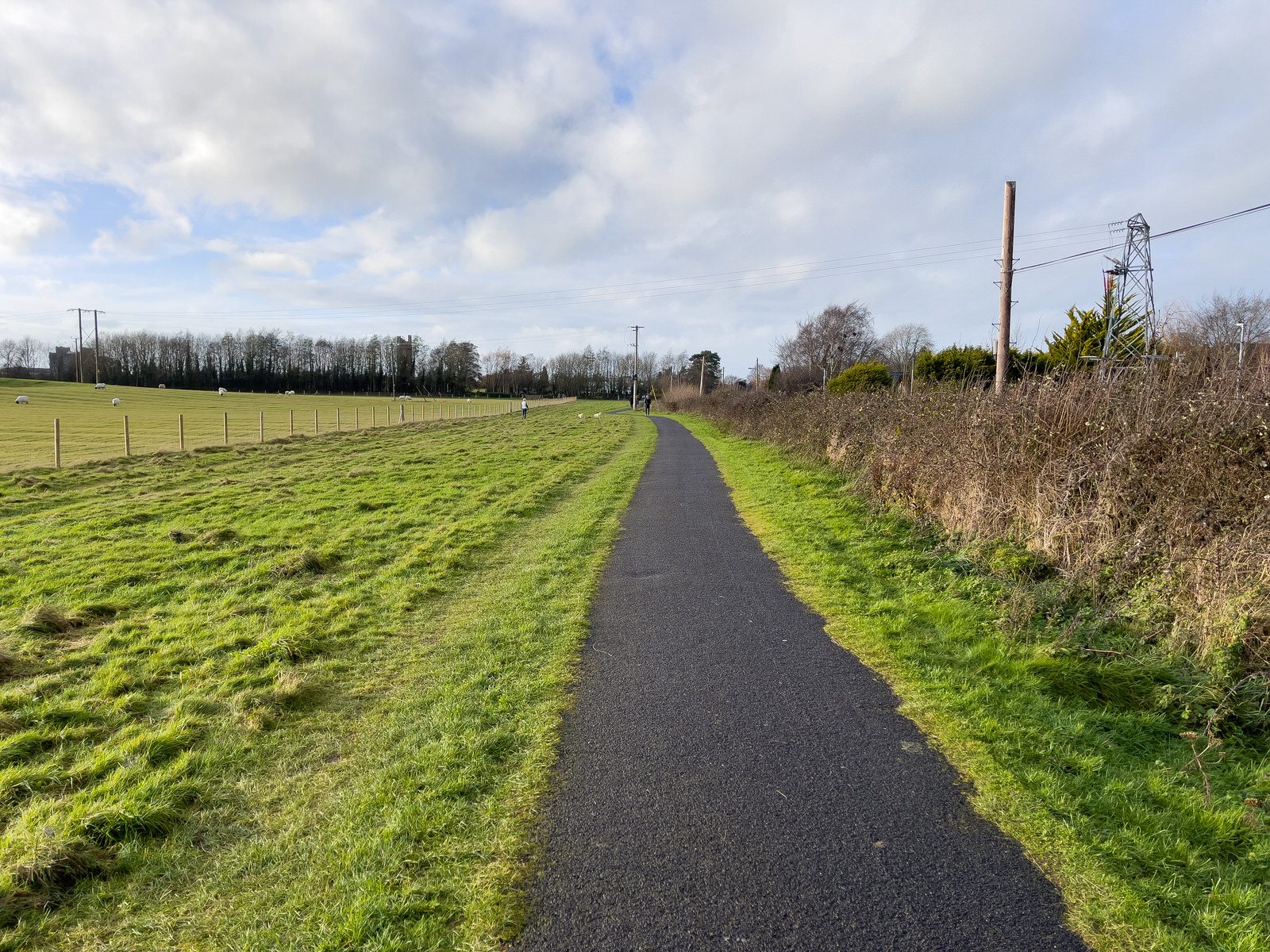 CHRISTMAS DAY VISIT TO PORCHFIELD IN TRIM 001