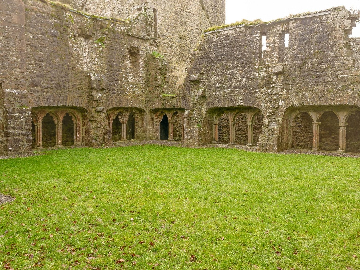 BECTIVE ABBEY WHICH I VISITED LAST CHRISTMAS [THERE WERE NO OTHER VISITORS AS IT WAS A VERY WET DAY]--225220-1