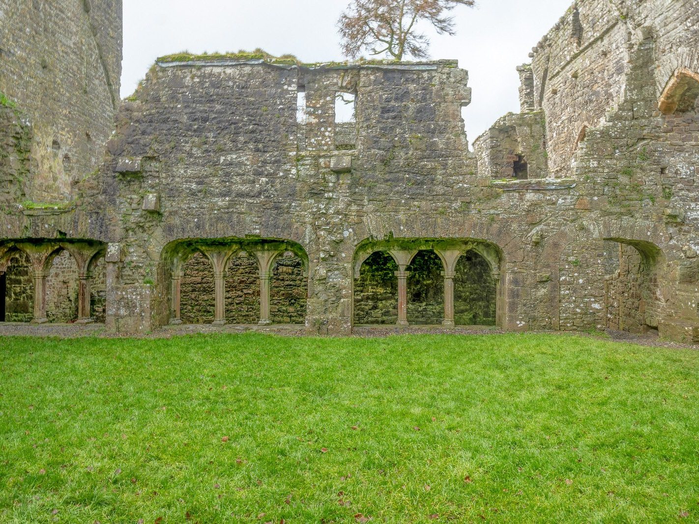 BECTIVE ABBEY WHICH I VISITED LAST CHRISTMAS [THERE WERE NO OTHER VISITORS AS IT WAS A VERY WET DAY]--225222-1