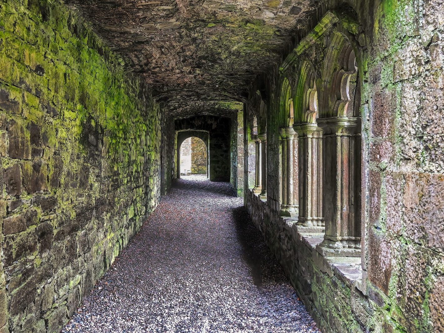 BECTIVE ABBEY WHICH I VISITED LAST CHRISTMAS [THERE WERE NO OTHER VISITORS AS IT WAS A VERY WET DAY]--225225-1