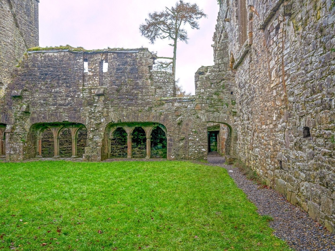 BECTIVE ABBEY WHICH I VISITED LAST CHRISTMAS [THERE WERE NO OTHER VISITORS AS IT WAS A VERY WET DAY]--225243-1