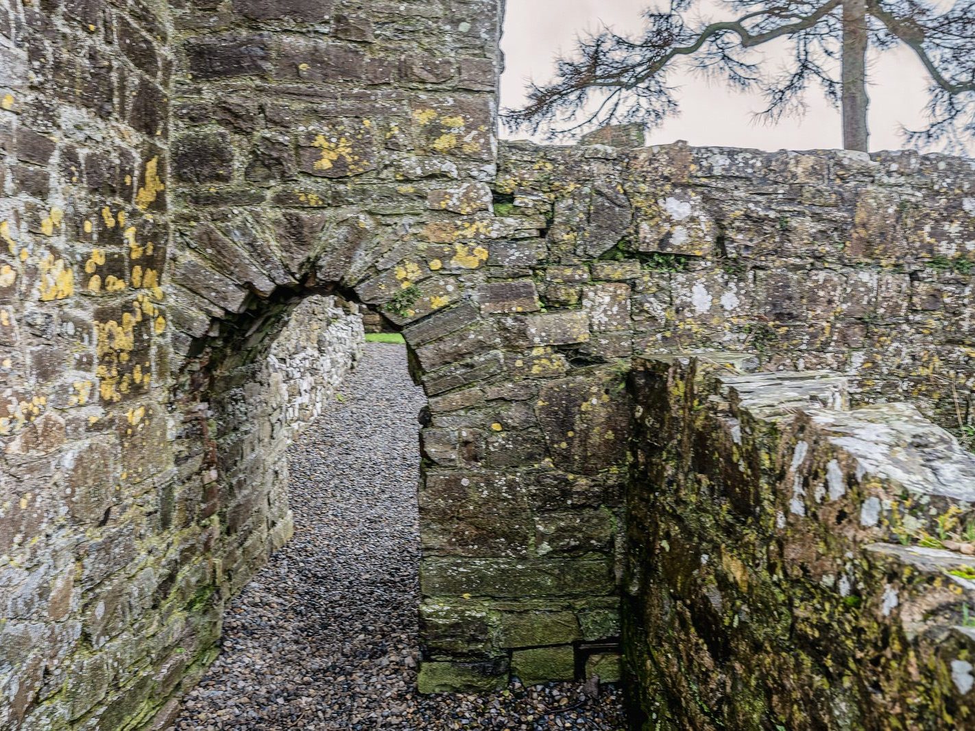 BECTIVE ABBEY WHICH I VISITED LAST CHRISTMAS [THERE WERE NO OTHER VISITORS AS IT WAS A VERY WET DAY]--225247-1