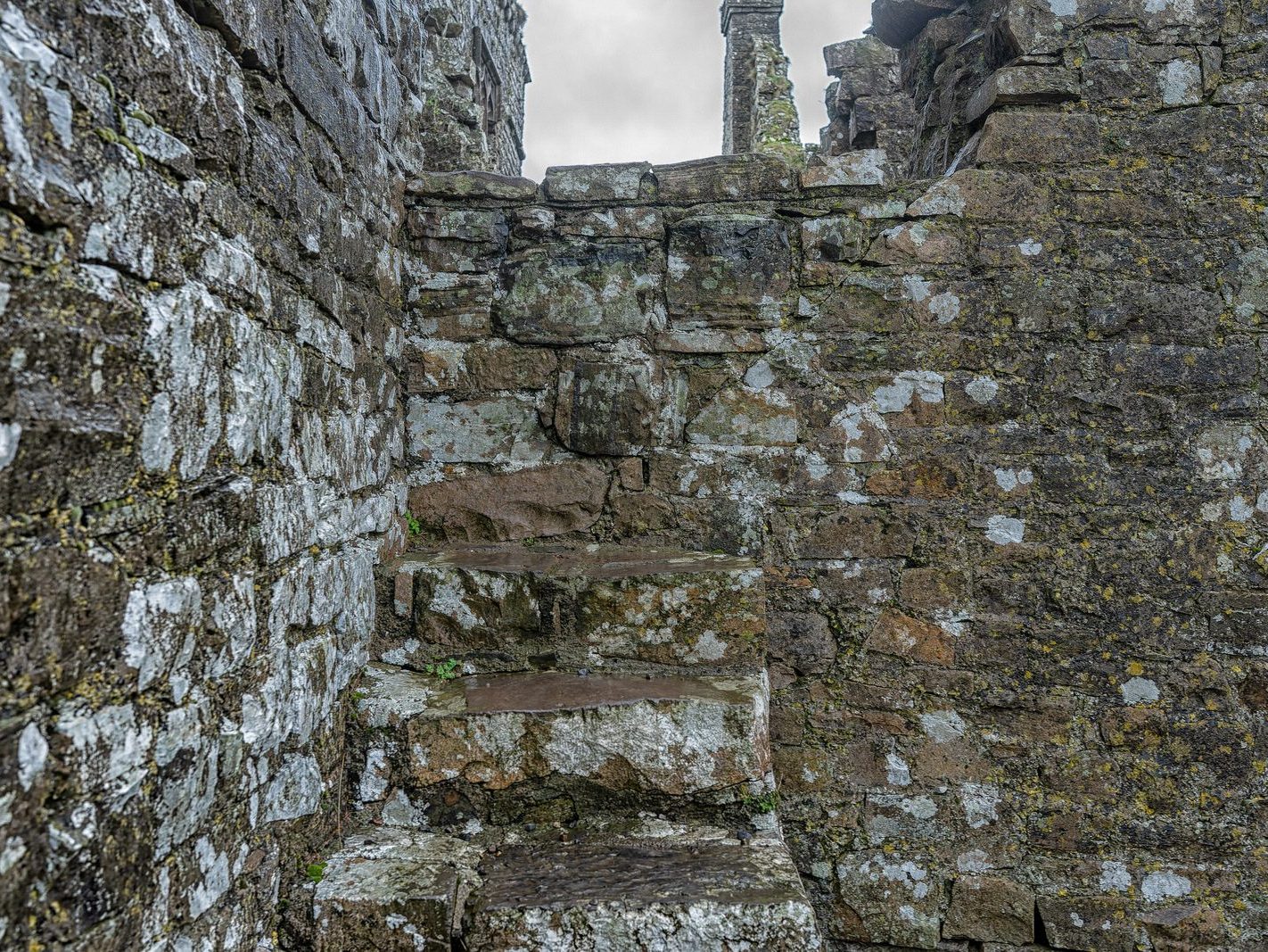 BECTIVE ABBEY WHICH I VISITED LAST CHRISTMAS [THERE WERE NO OTHER VISITORS AS IT WAS A VERY WET DAY]--225252-1