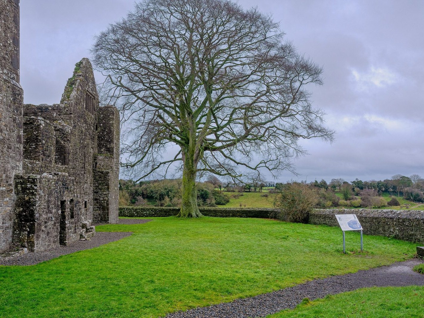 BECTIVE ABBEY WHICH I VISITED LAST CHRISTMAS [THERE WERE NO OTHER VISITORS AS IT WAS A VERY WET DAY]--225253-1