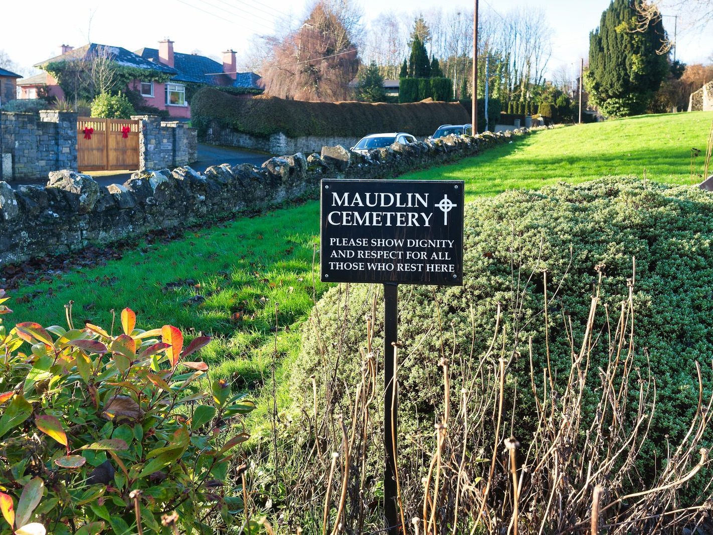 THE MAUDLIN CEMETERY [FEATURING OUR LADY OF TRIM BY CHRISTOPHER RYAN]-225095-1