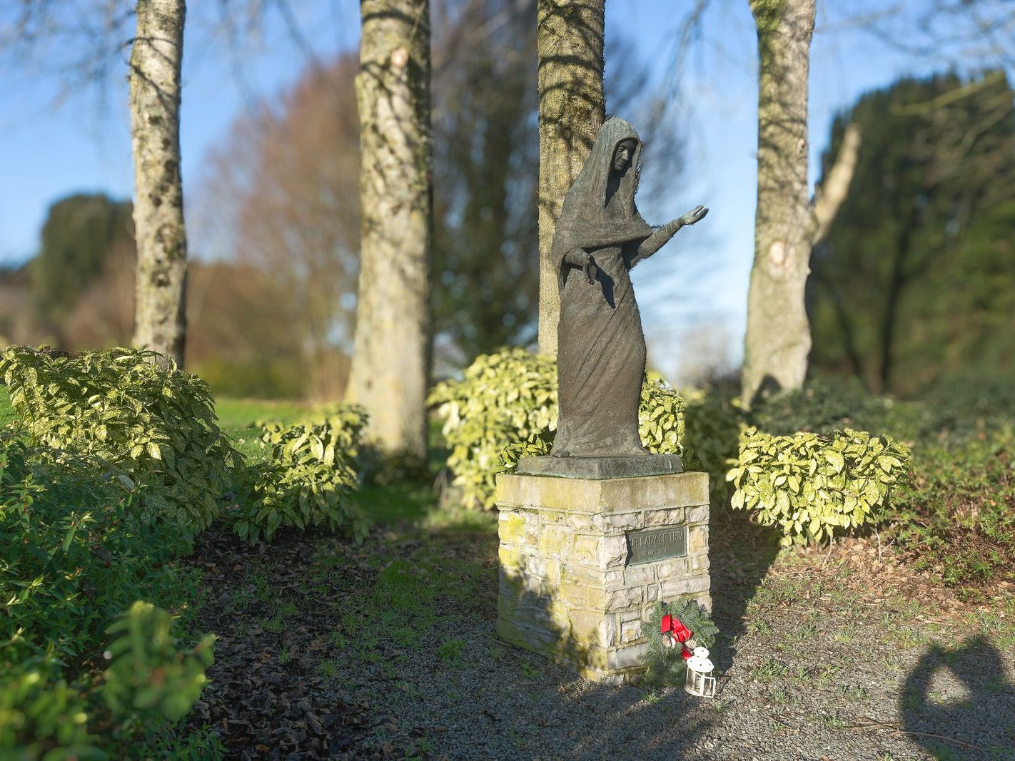 THE MAUDLIN CEMETERY [FEATURING OUR LADY OF TRIM BY CHRISTOPHER RYAN]-225097-1
