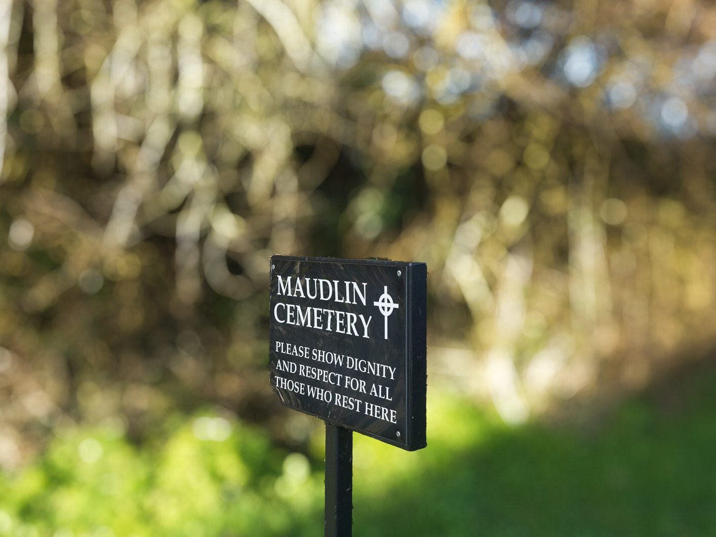 THE MAUDLIN CEMETERY [FEATURING OUR LADY OF TRIM BY CHRISTOPHER RYAN]-225105-1