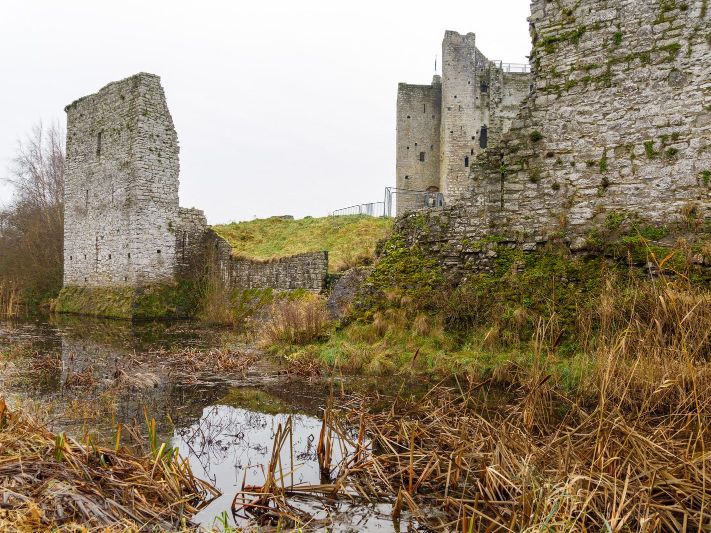 ON ST STEPHEN'S DAY I VISITED THE SOUTH BANK IN ORDER TO PHOTOGRAPH TRIM CASTLE [26 DECEMBER 2023]-226509-1